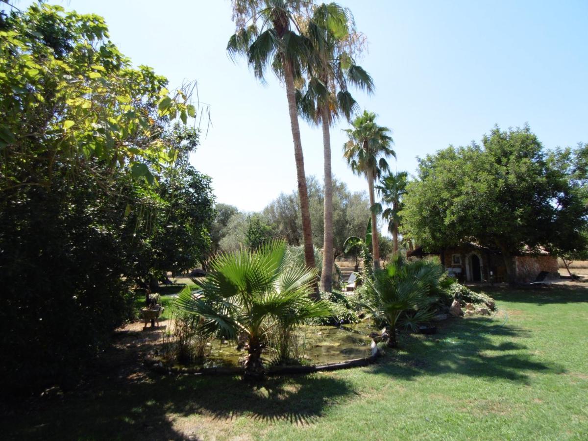 Ca Na Marlis. Nature&Relax Inca  Bagian luar foto